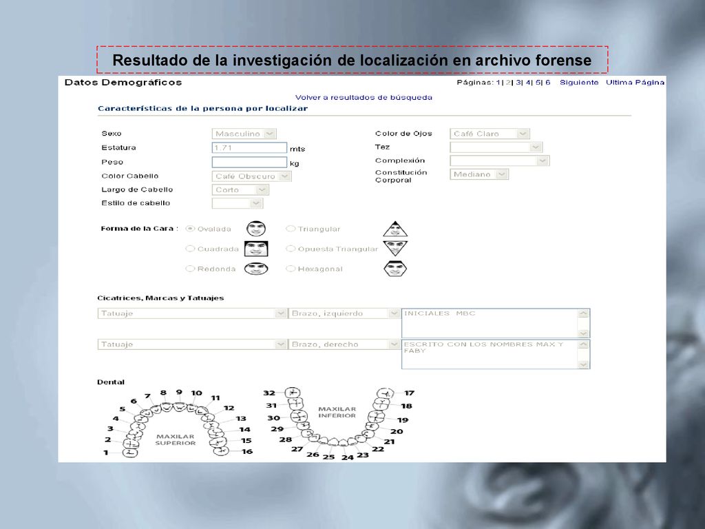 El Sistema de Identificación de Restos y Localización de Individuos